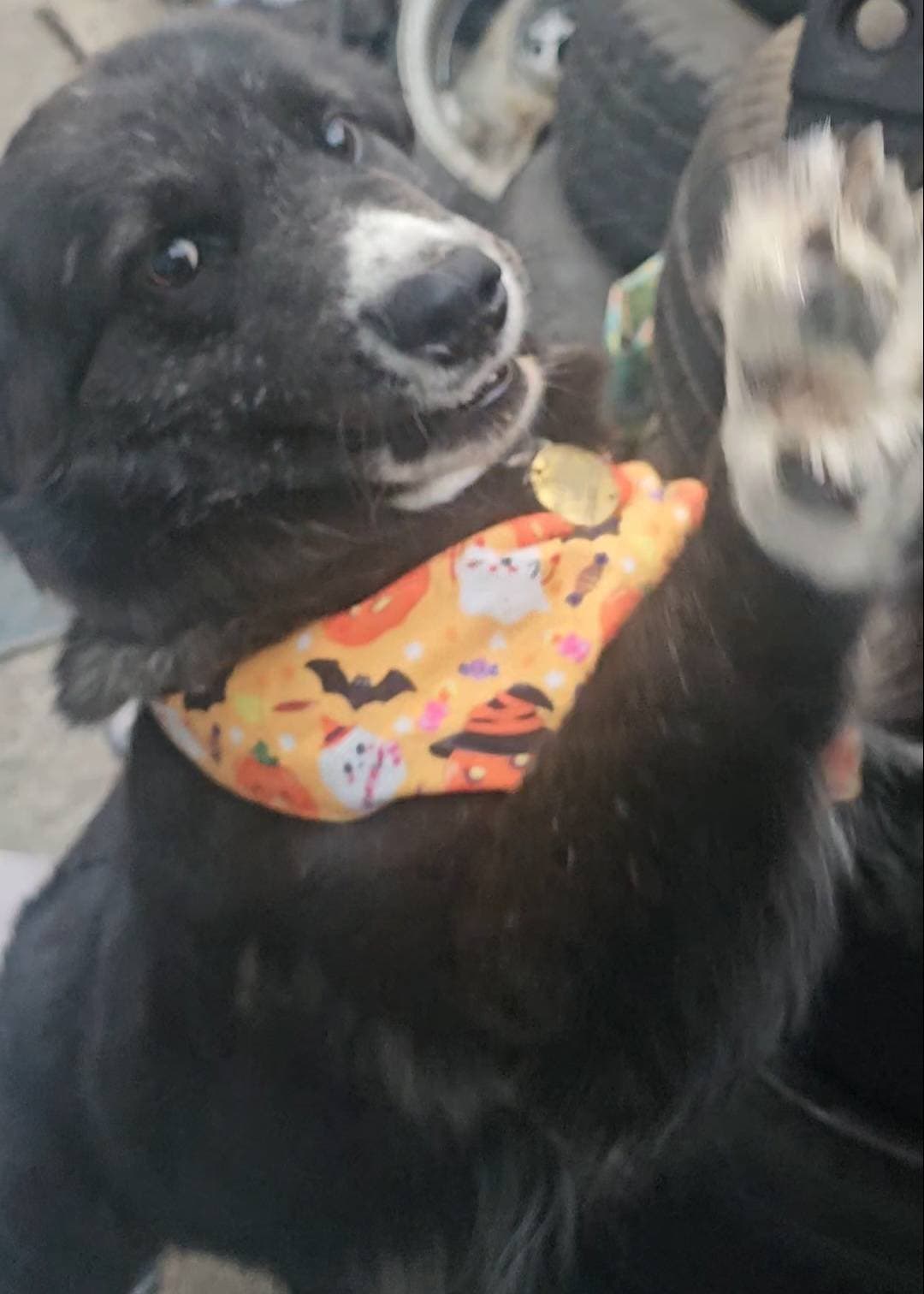 the face I make when they say 'bath time'