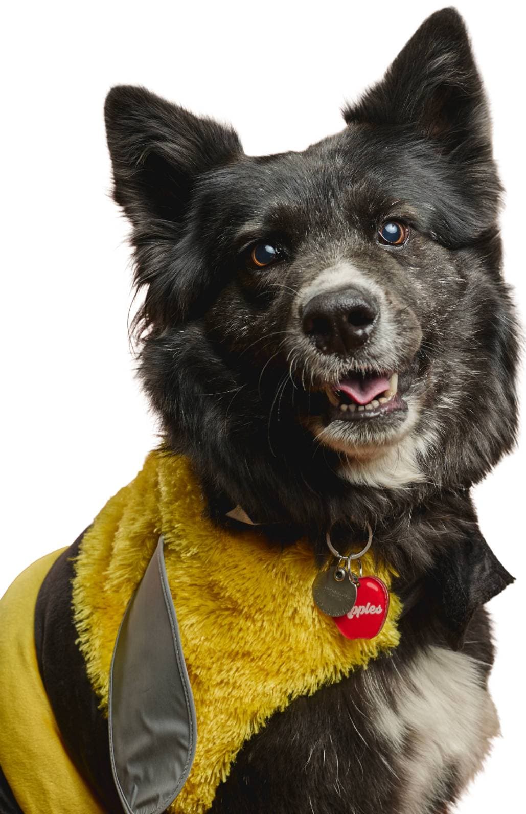 feeling fancy tonight... who's taking me out? ð